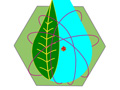 Logo combines electron orbits, a leaf, a water drop, an atomic nucleus, and the hexagon shape of a reactor core.