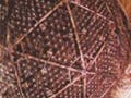 Neutrino detector.