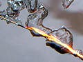 Flames and bubbles surround a thin wire submerged in water.