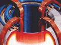 Illustration with cross-section of a tokamak.