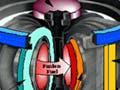 A tokamak schematic.