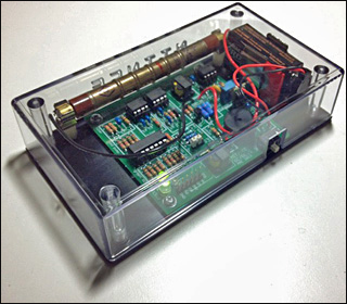 DO-IT-YOURSELF (DIY) GEIGER COUNTERS Coupon