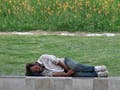 A homeless man sleeping, a field of flowers behind him.