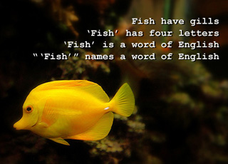 A photo of a yellow tang with text overlaid illustrating the ways the word "fish" can be used.