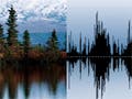 On the right is a waveform in black on a blue background, and on the left shows trees reflecting on a still lake with snowy mountains in the background.
