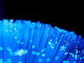 A bundle of blue optical fibers illuminated against a pitch black background.