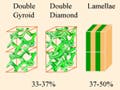 Block copolymers of various compositions form BCC, hexagonal cylindrical, double gyroid, double diamond, and lamellar morphologies.