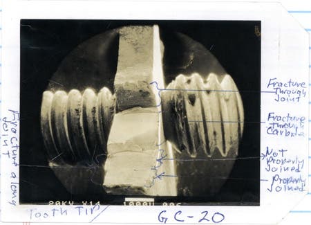 Photo of Detached tooth.