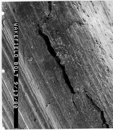 SEM image of cracks in the fractured bolt.