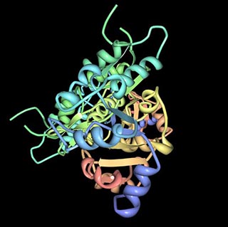 A diagram of differently colored ribbons and helices shows the crystal structure of human PLP phosphatase, with pyridoxal 5'-phosphate (PLP), the active form of Vitamin B6, bound in the active site.
