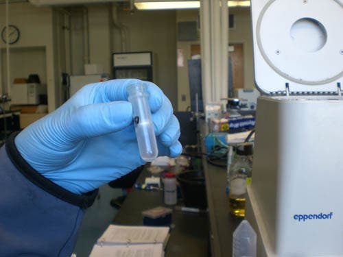 Lab Session 11: Washing QIAprep spin column with Buffer PE.