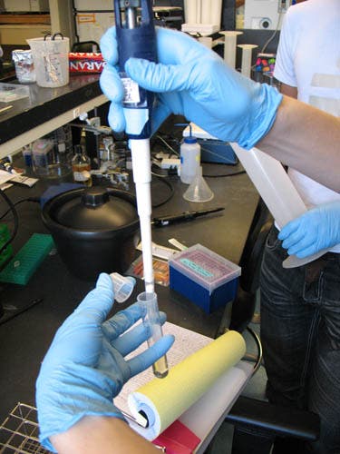 Lab Session 1: Inoculating 5 mL culture with BL21 colony.
