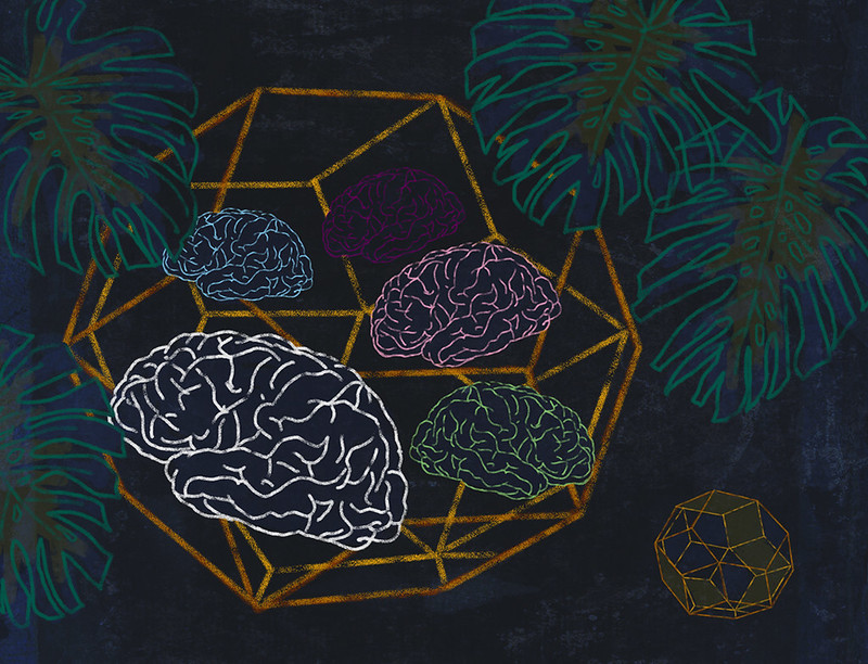 Outline illustration of brains on black background. 