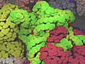 A colorful rendering of the cytoplasm model.