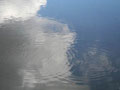 Circular water ripples on a pond produced by drops of rain.