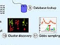 Challenges in Computational Biology