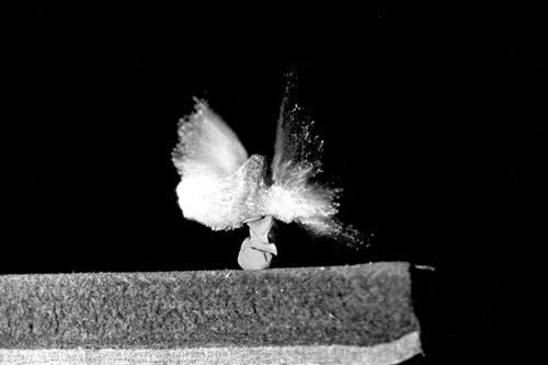 bullet lab photo.