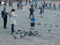 A photo of people and pigeons in the plaza.