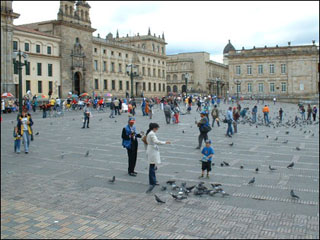 A photo of people and pigeons in the plaza.