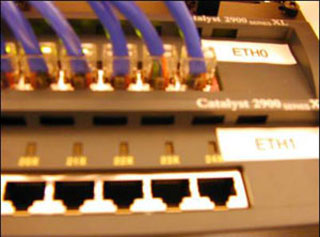 Photo of the back of a network switch, with multiple ethernet cables plugged in.