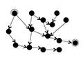 Basic expressions, codes and graphs of program analysis.