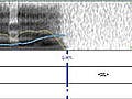 Screenshot from one of the simulations used in the course.