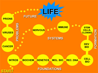 a diagram showing the course topics in yellow circles, arranged as spaces on a game board, on an orange background.
