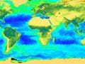 A colorized image of the globe indicating the amount and health of plants on land and phytoplankton in the ocean.