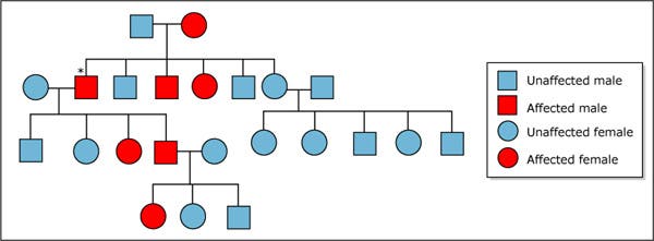 a diagram showing circles and squares arranged in a tree formation to represent the inheritance of genetic traits in humans.