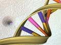 An illustration showing the double helix structure of DNA