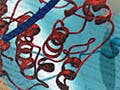 A color illustration of CAM kinase II and its activator calmodulin, floating over an image of a journal article. 