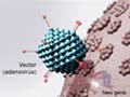Illustration of a gene undergoing gene therapy.