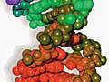 Molecular dynamics computer simulation of damaged DNA.
