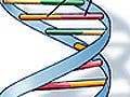 Illustration showing the structure of a DNA molecule.