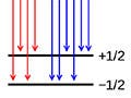 Two sets of horizontal and vertical lines with labels next to the horizontal lines and arrows at the bottom ends of the vertical lines.