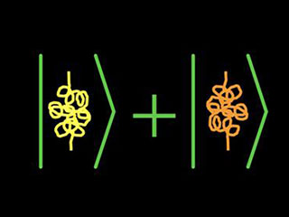 Quantum entanglement visualized as groups of intertwined lines.