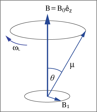 A vector rotates around a vertical axis with rotation angle of θ.