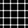 Optical illusion of white grid on black background, with apparent flashing black dots in the grid crossings.