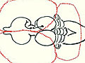 A diagram demonstrating the evolutionary expansion of the vertebrate brain.