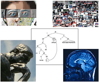 Photo collage of images related to cognition.