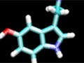 The neurotransmitter serotonin.