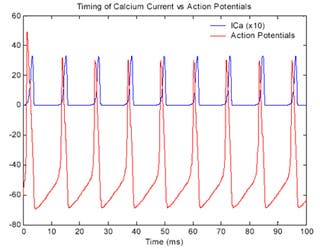 A graph of timing and amplitude of action potential vs. onset of calcium current in an axon. 