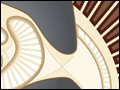 An illustration depicting the many layers of analysis involved in computing fly visual motion from the whole organism to targeted brain regions.