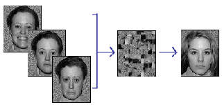 A series of photos including three photos of the same person with different facial expressions in each; and a photo of a different person in both a distorted and non-distorted state.