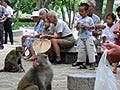 Photo of monkeys and humans studying each other.