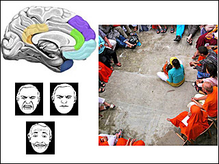 Illustration of a brain with colors indicating regions involved in social processes, plus three example faces used in social testing and a photo of a large group sitting in a circle.