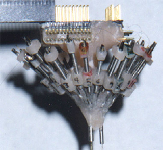 Photograph of a tetrode array.