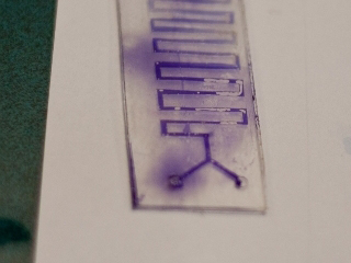 Photo of a glass slide etched with thin channels for fluid movement.