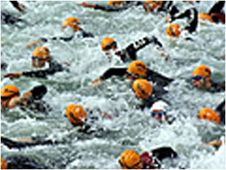 Dozens of swimmers in black wet suits and orange bathing caps race each other through choppy water.