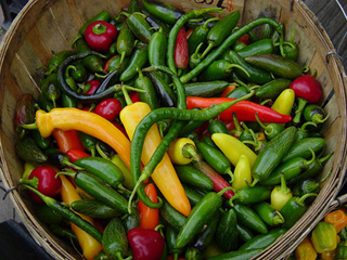 A basket of assorted chili peppers.